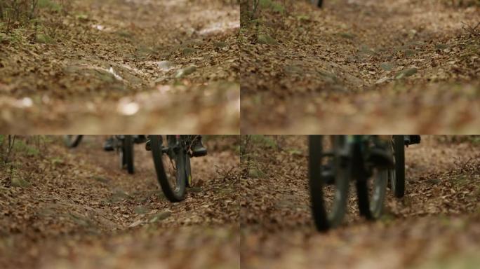 山地车骑在树林中的详细镜头