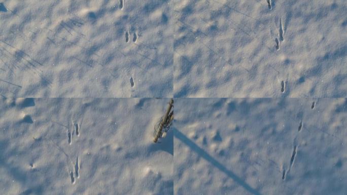 空中无人机在雪地里拍摄动物脚印