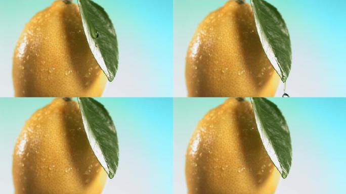 从自然背景上的柠檬叶落下的水滴。水疗护肤、化妆品和美容概念。