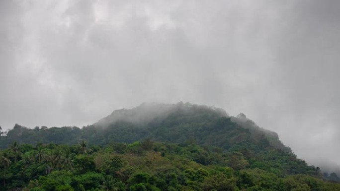 白天云雾丛林山顶全景4k延时泰国