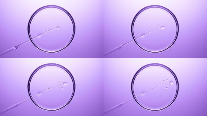 化学滴管将油注入培养皿中的透明液体中