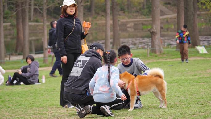 春游 踏青 野餐 遛狗 郊游 亲子 陪伴