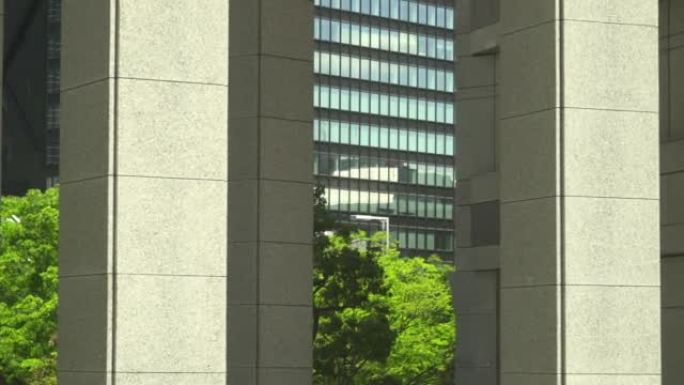 现代化的办公楼，柱子之间有新鲜的绿树。