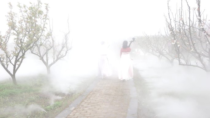 两个汉服古风女子在户外梨园雾中走过