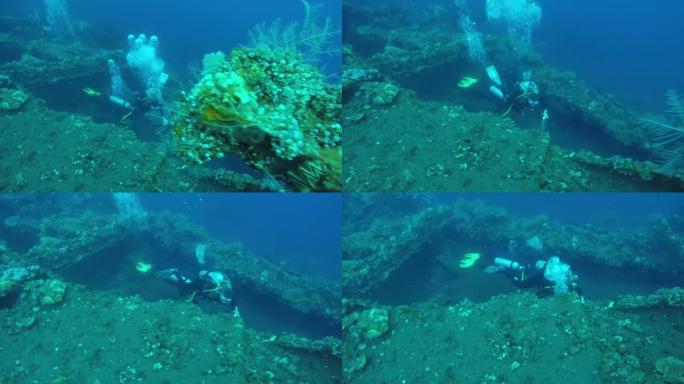 在沉船和海洋生物周围潜水