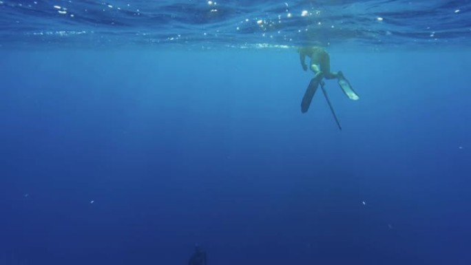 蓝色海洋中的免费潜水员鱼叉捕鱼: 地中海探险