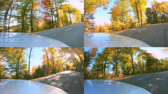 LD汽车沿着阳光明媚的秋天森林在柏油路上行驶