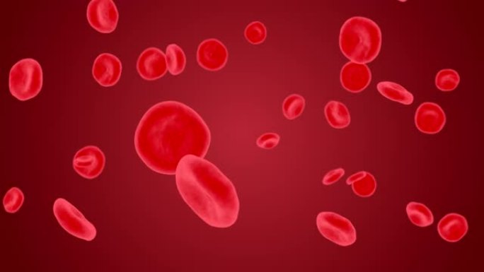 人体血液4K 3D α 通道循环动画中的红细胞。