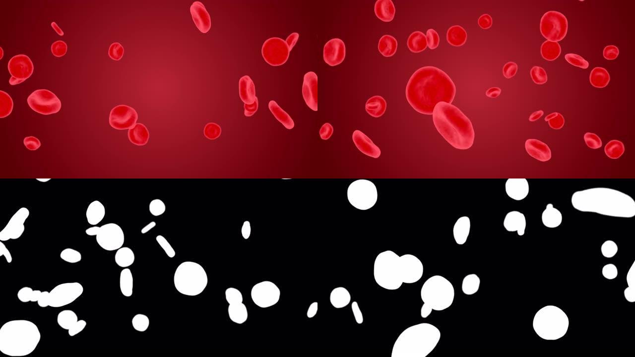人体血液4K 3D α 通道循环动画中的红细胞。