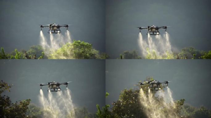 无人机在稻田上喷洒化学药品。