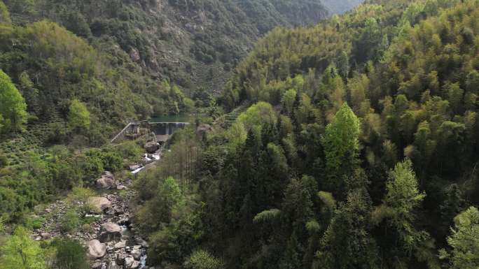 九华山风景区乔安