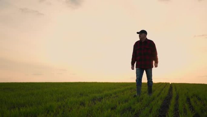 一天的工作后，一名步行农民拖拉机司机在日落时分在田野上慢动作行走