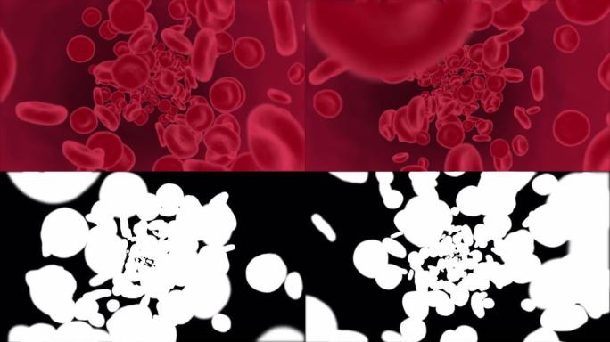4K 3D红细胞在体内流动，医疗人体保健回路背景阿尔法通道。