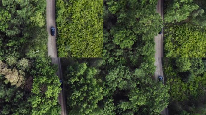 被森林包围的道路的鸟瞰图。正上方