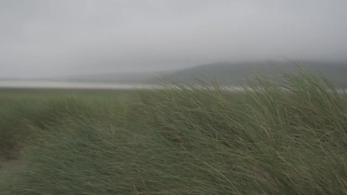 沿海岬角和草地的风景