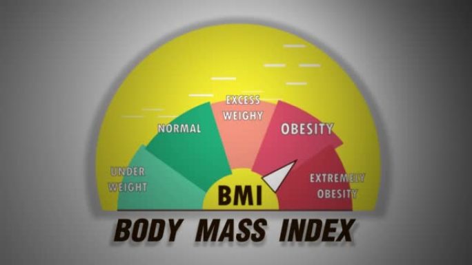 身体质量指数 (BMI) 刻度刻度表显示动画