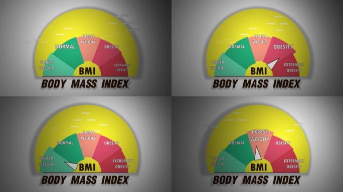 身体质量指数 (BMI) 刻度刻度表显示动画