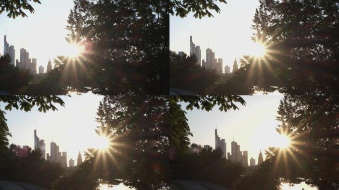 日落时城市的全景，前景是树木