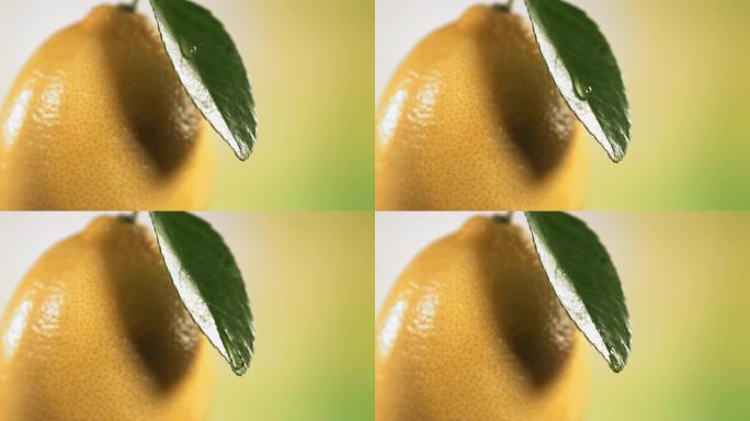 从自然背景上的柠檬叶落下的水滴。水疗护肤、化妆品和美容概念。