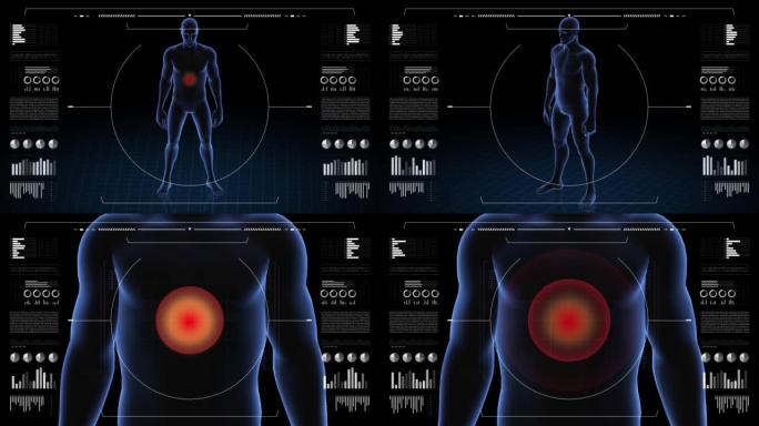 胃部病变的人。男孩的3d身体。男性人体结构的旋转动画和特写。