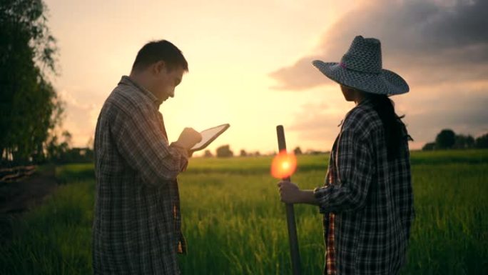 农民在收获季节耕种。