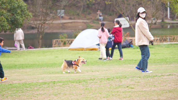 春游 踏青 遛狗 小狗 野炊 野餐 郊游