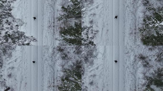 空中无人机拍摄了一名妇女在树林中沿雪道行走的镜头