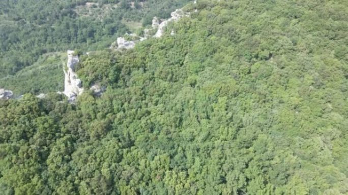 飞越绿色硬木森林和山谷的鸟瞰图