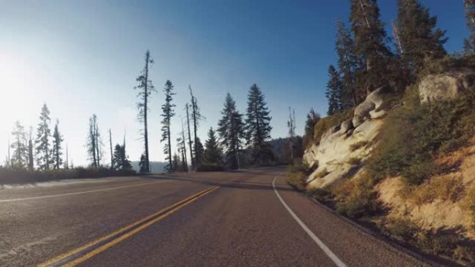 美国西南部的夏季旅行: 加利福尼亚州红杉国家公园的POV汽车驾驶