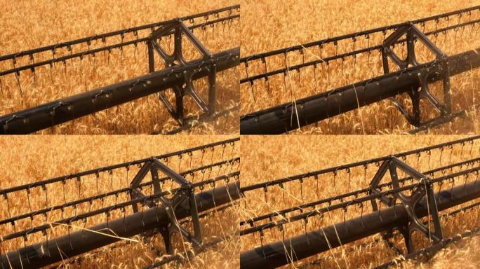 联合收割机旋转卷筒在耕地中收获小麦作物