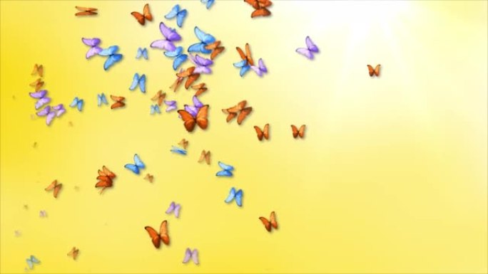 春天或夏天的天空，帝王蝶群飞蝶春夏销售循环背景。