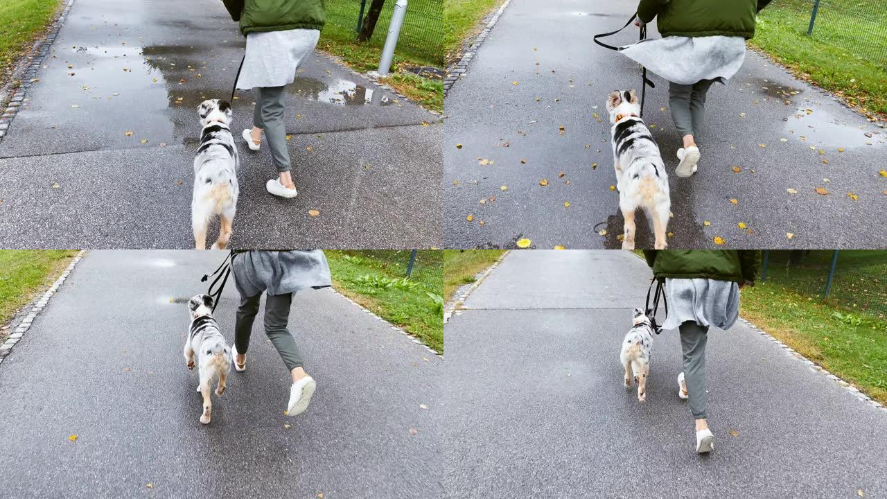 SLO MO TS女人奔跑，她的小狗紧紧地跟着她