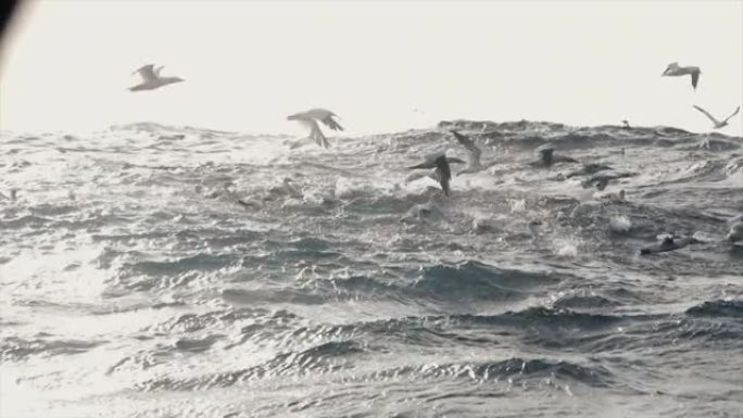 夜间在蓝色波涛汹涌的大海中的一艘船: 海浪黑暗的海景