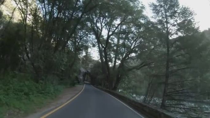 沿着国家公园的道路行驶的车辆的直视