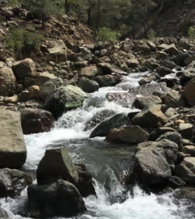 手持视图的水从岩石清溪的小瀑布中翻滚，背景是山沟沿岸的松树
