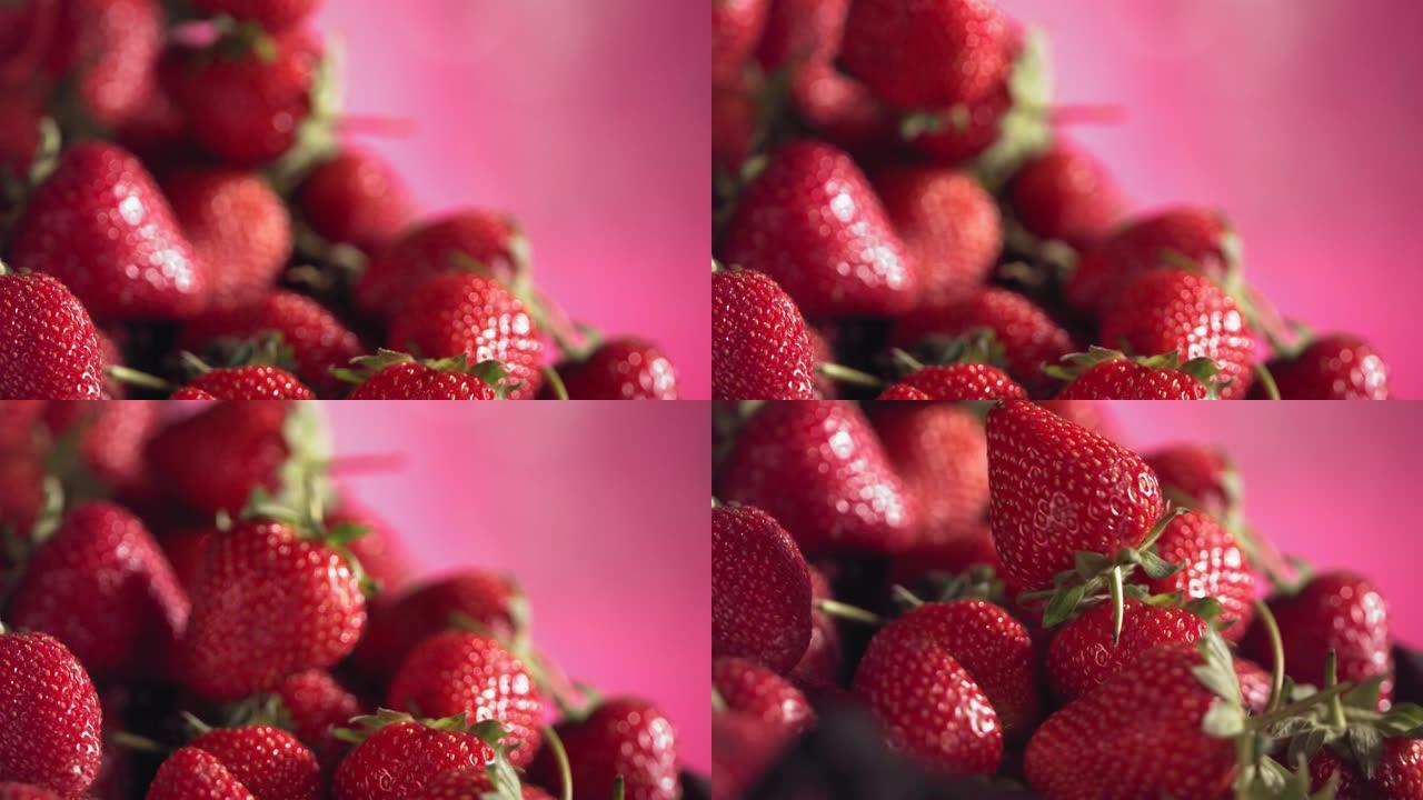 成熟多汁的草莓在许多草莓上滚动