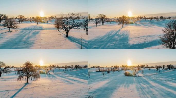 空中无人机拍摄积雪覆盖的林地