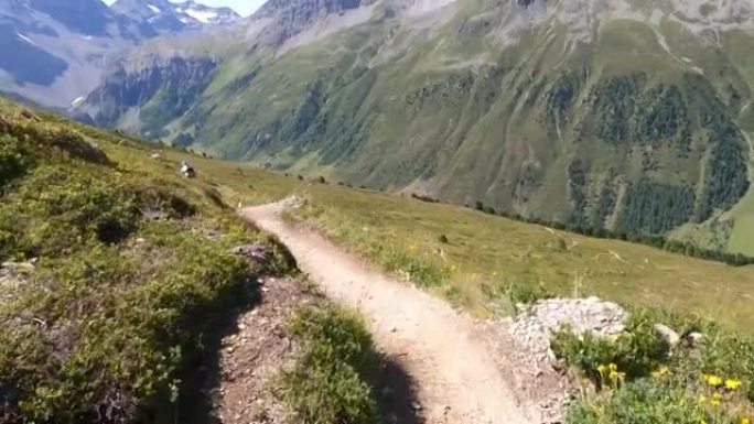 女子山地自行车沿高山路径的第一人称视角