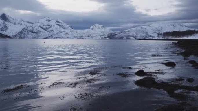 冬天特罗姆瑟海边的风景。积雪覆盖的山脉和杂草