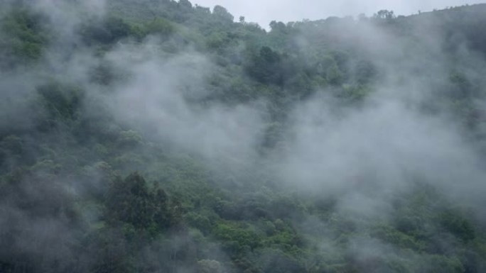 森林山上的乌云时间流逝