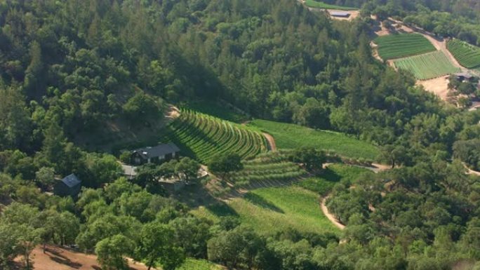 加利福尼亚州阳光明媚的纳帕谷的葡萄园和庄园上空