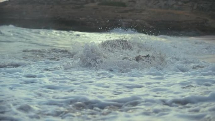 海滩上的女人。在海里玩耍，被海浪飞溅