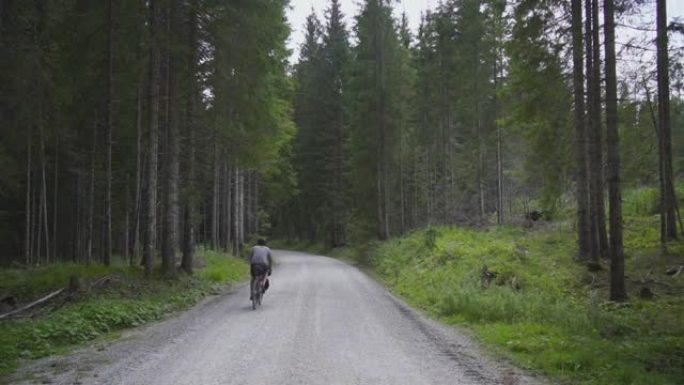 男性骑自行车的人在远离相机的森林中沿着道路骑行