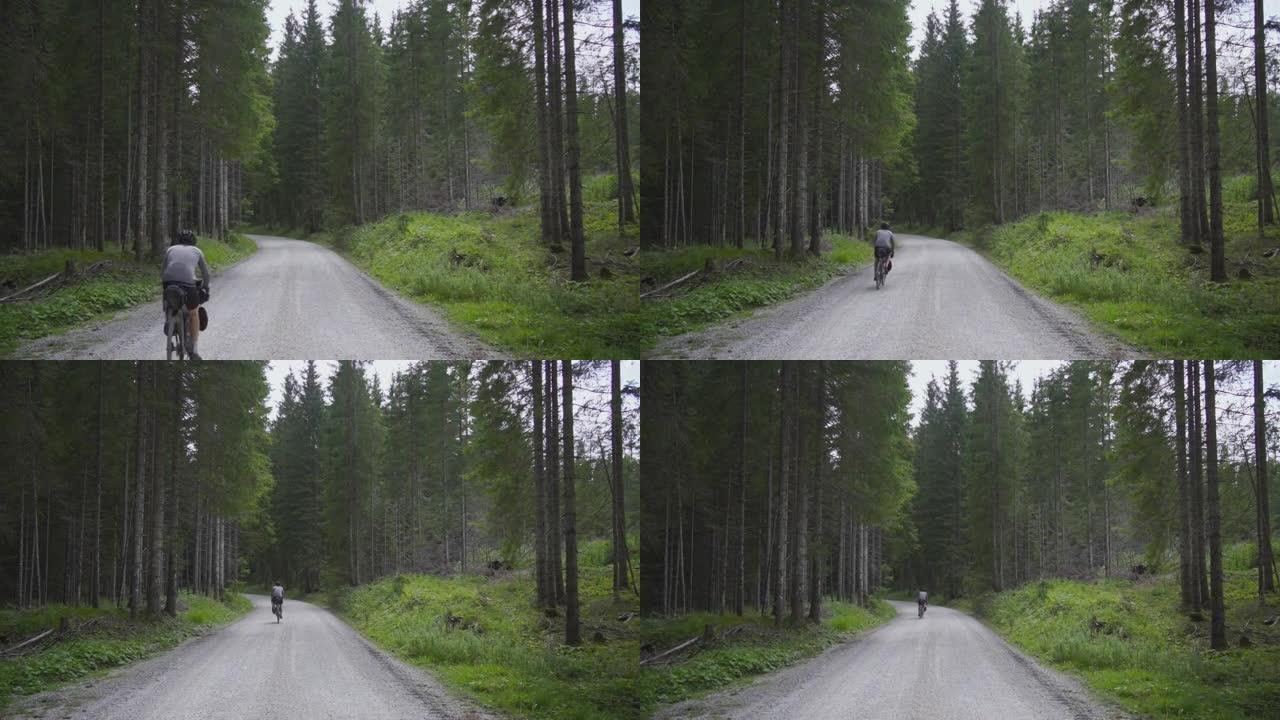 男性骑自行车的人在远离相机的森林中沿着道路骑行
