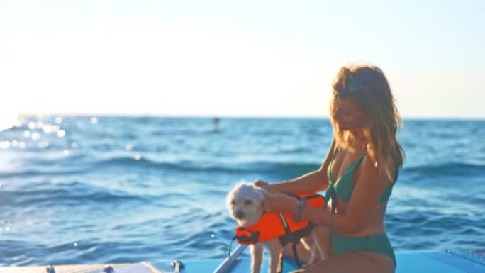 SLO MO女人坐在阳光下的桨板上抚摸着她的狗