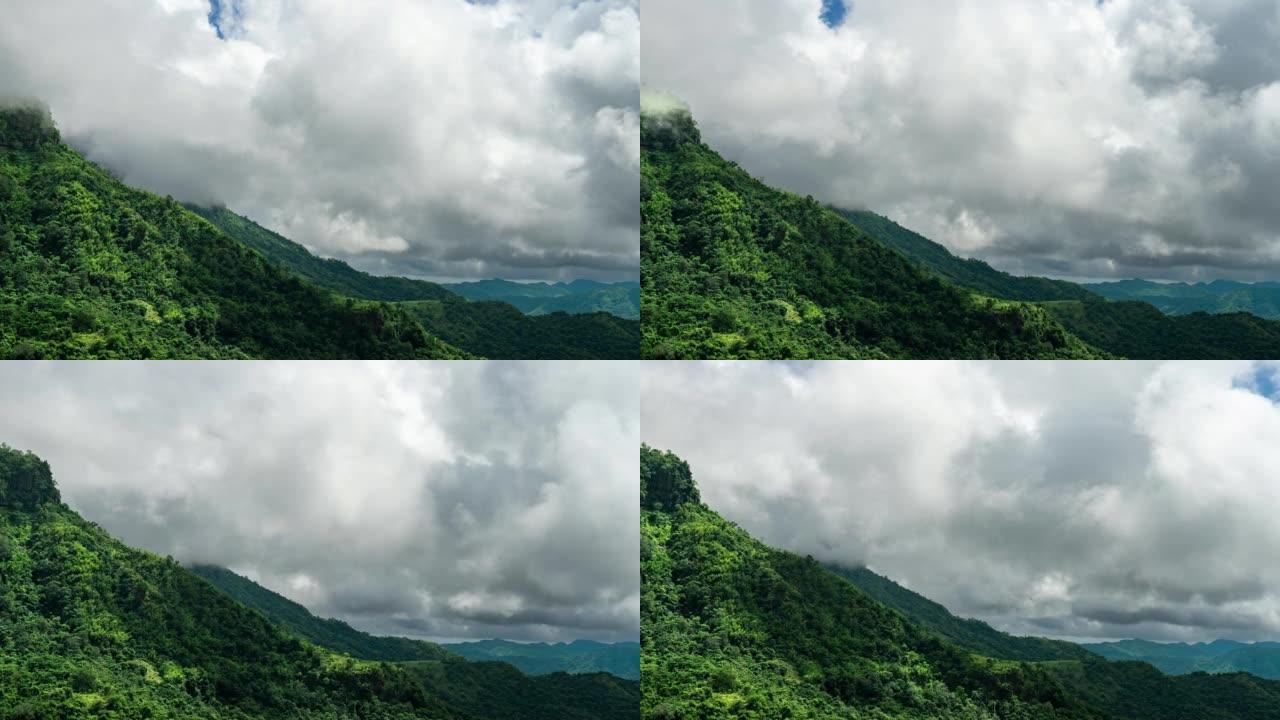 时光流逝的山雾，热带雨林的薄雾。