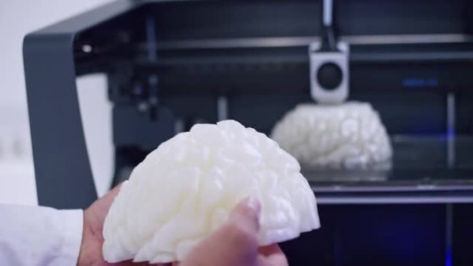 生物医学工程师持有3D大脑模型，而3D打印机正在构建另一个大脑模型