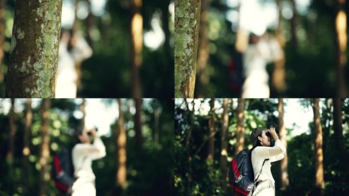 亚洲妇女使用双筒望远镜在森林中寻找鸟类