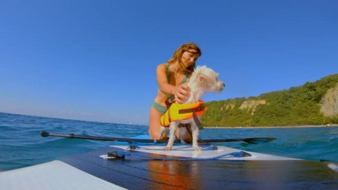LD女人在海里的划桨板上抚摸她的小狗