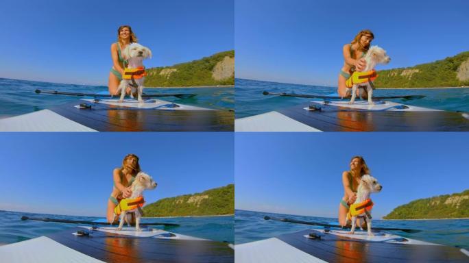 LD女人在海里的划桨板上抚摸她的小狗